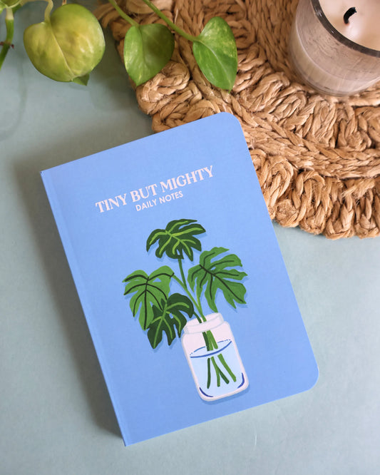 Monsterra in a vase | Pocket Notebook