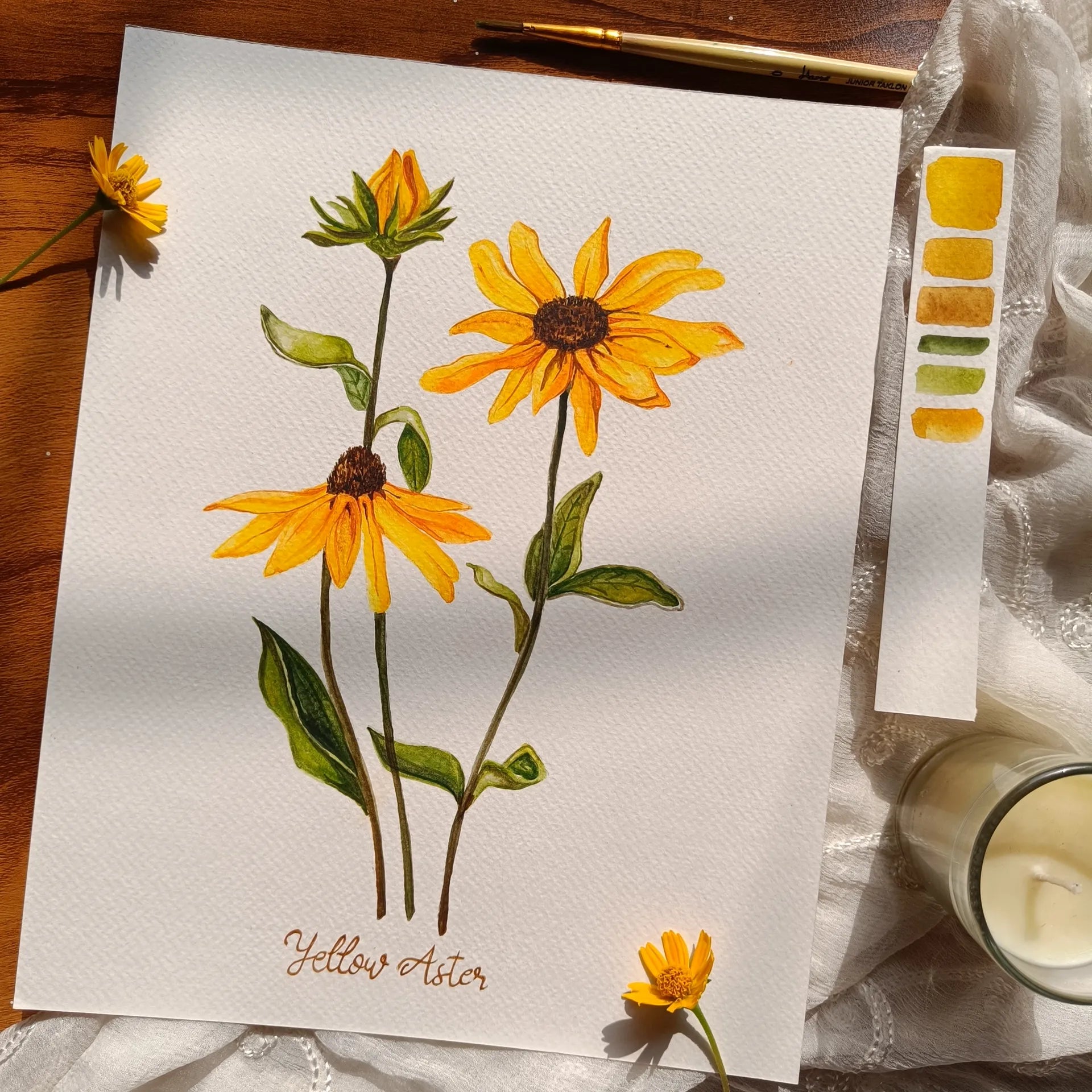 Watercolor painting of Yellow Asters