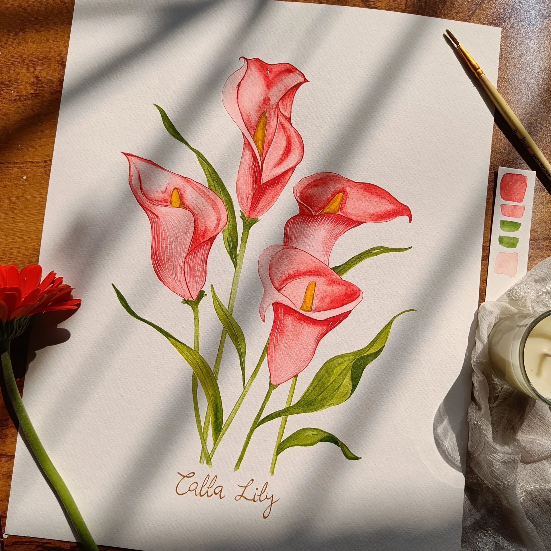 Watercolor Painting of a Calla Lily